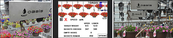 How much water does each plant need in a greenhouse