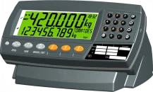 GR400 Digital Weight Indicator
